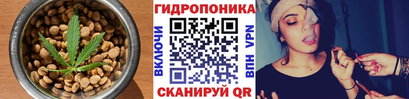Canna-Cookies конопля Великие Луки