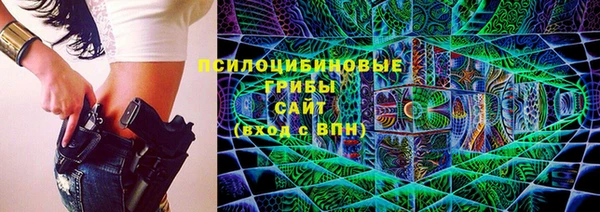МДПВ Богданович