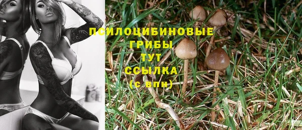 гашик Беломорск