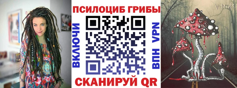 Псилоцибиновые грибы ЛСД  купить наркоту  Великие Луки 
